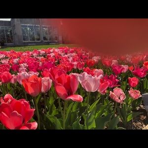 Meet your Posher, Li yen